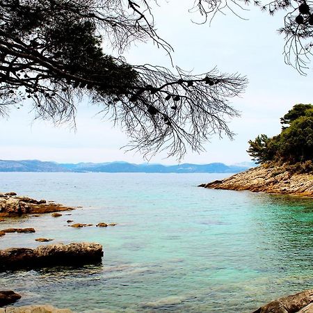 Apartment Marija Mljet 4 Sobra エクステリア 写真