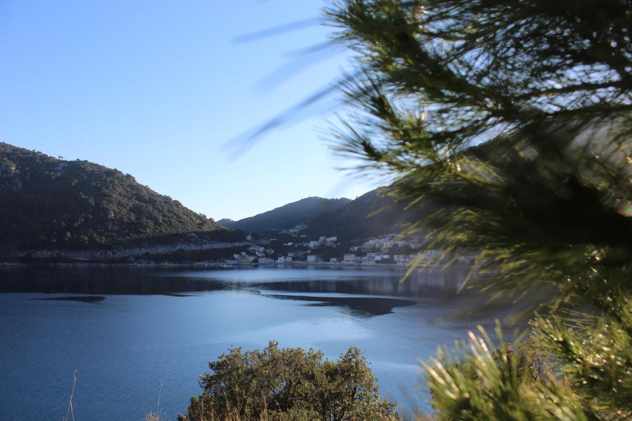Apartment Marija Mljet 4 Sobra エクステリア 写真